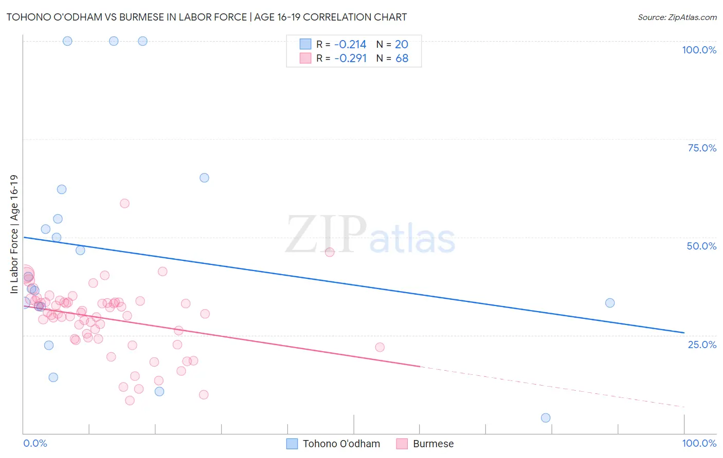 Tohono O'odham vs Burmese In Labor Force | Age 16-19