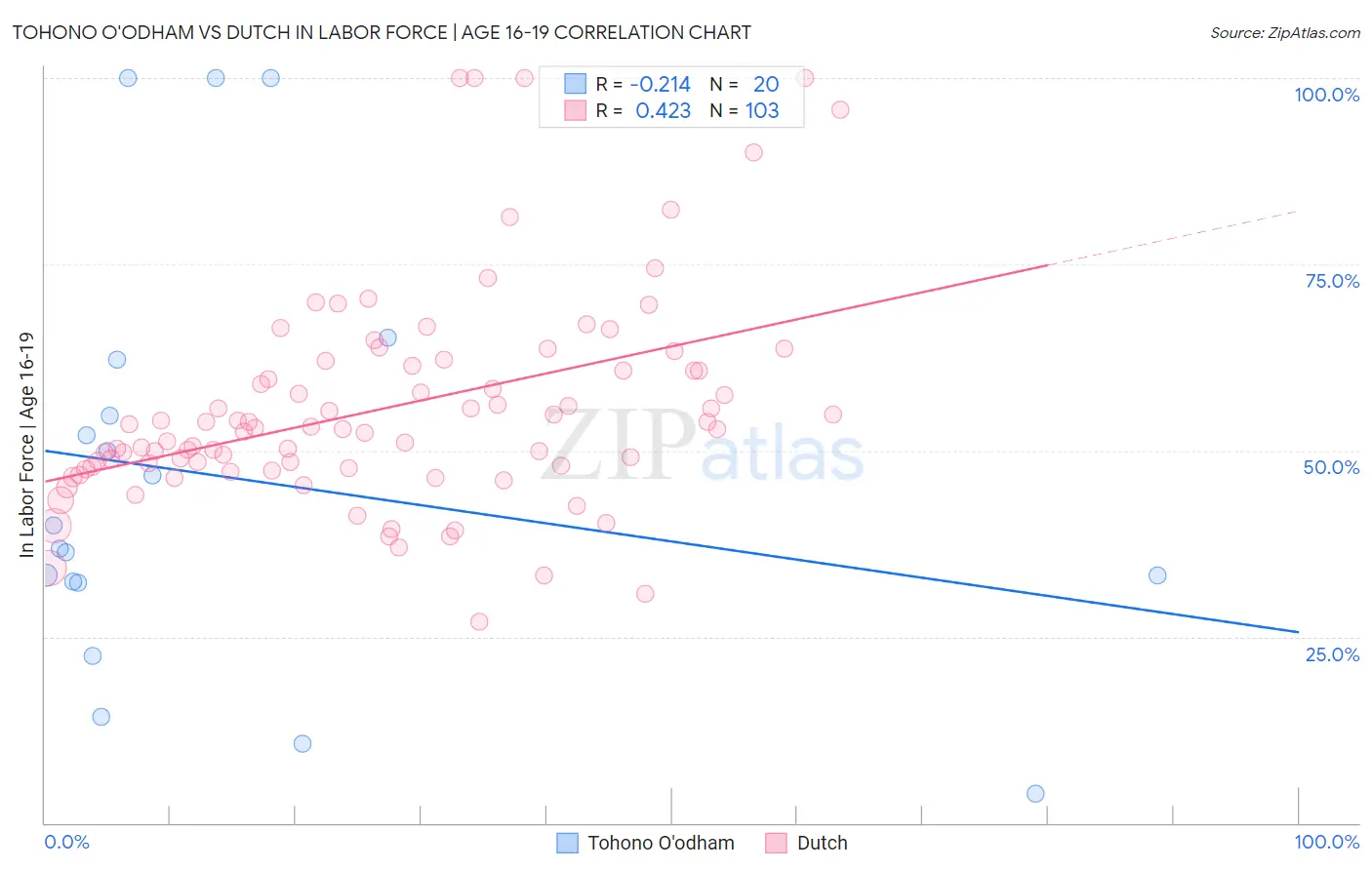 Tohono O'odham vs Dutch In Labor Force | Age 16-19