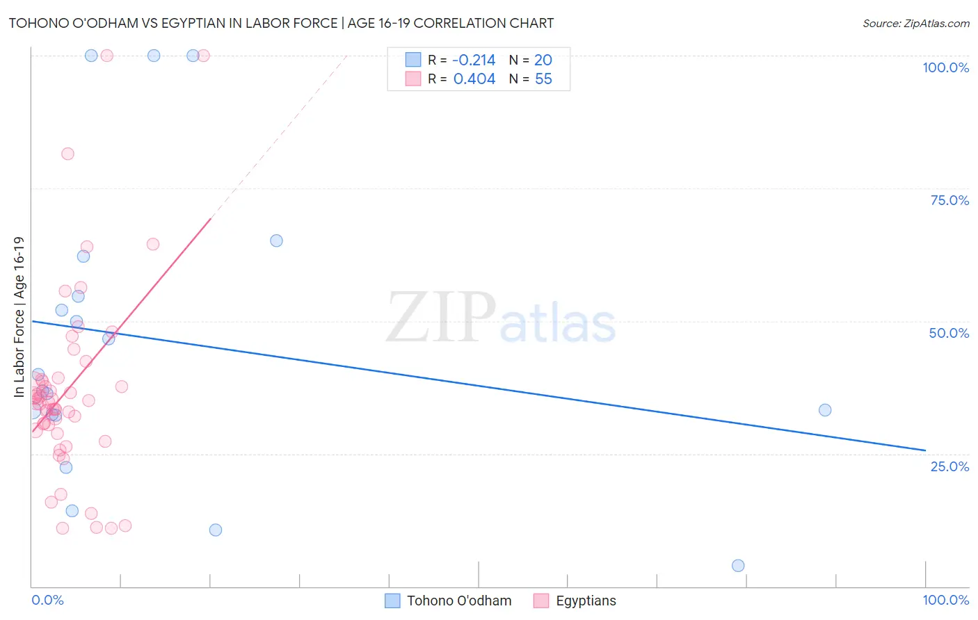 Tohono O'odham vs Egyptian In Labor Force | Age 16-19