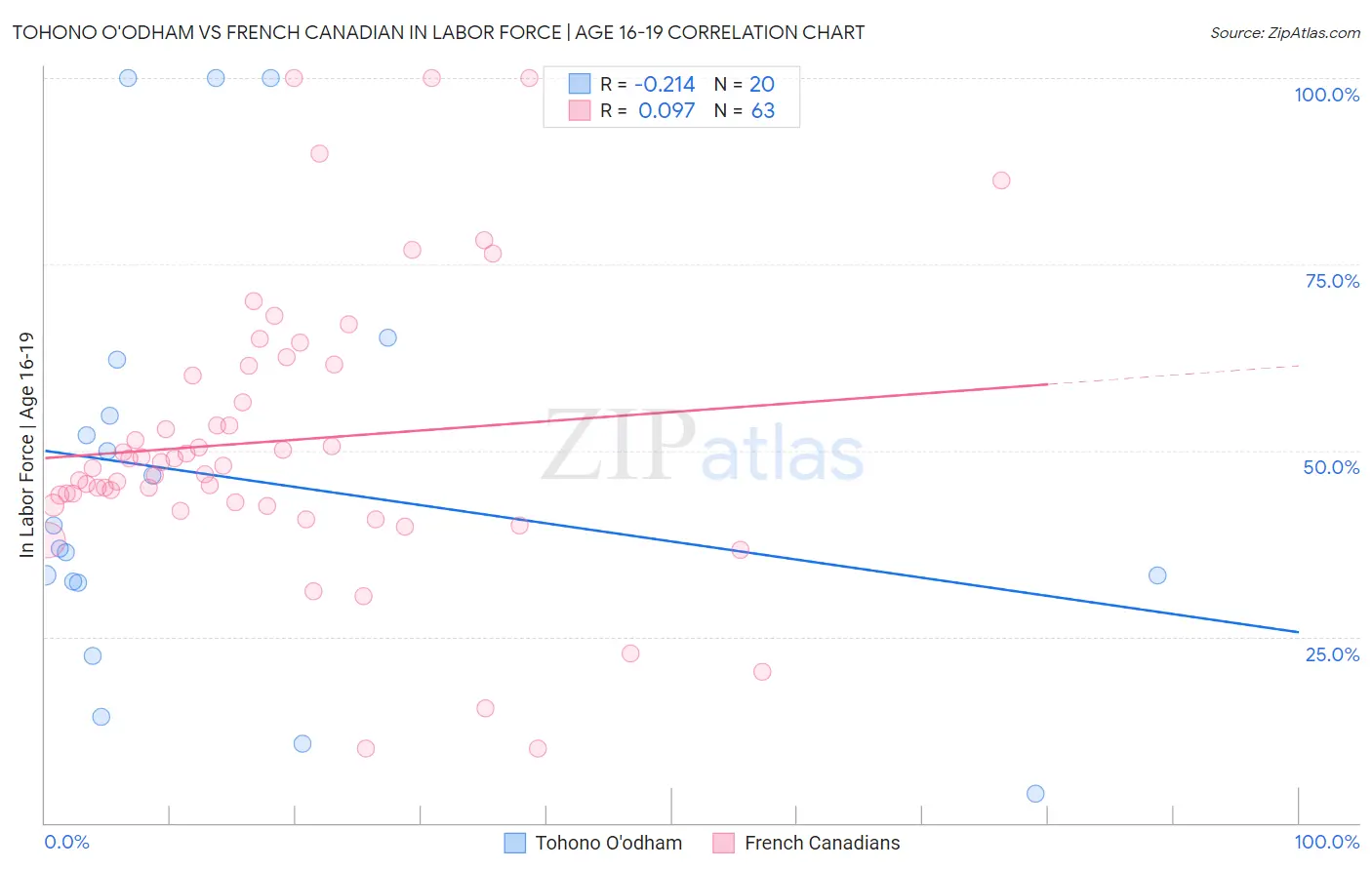 Tohono O'odham vs French Canadian In Labor Force | Age 16-19