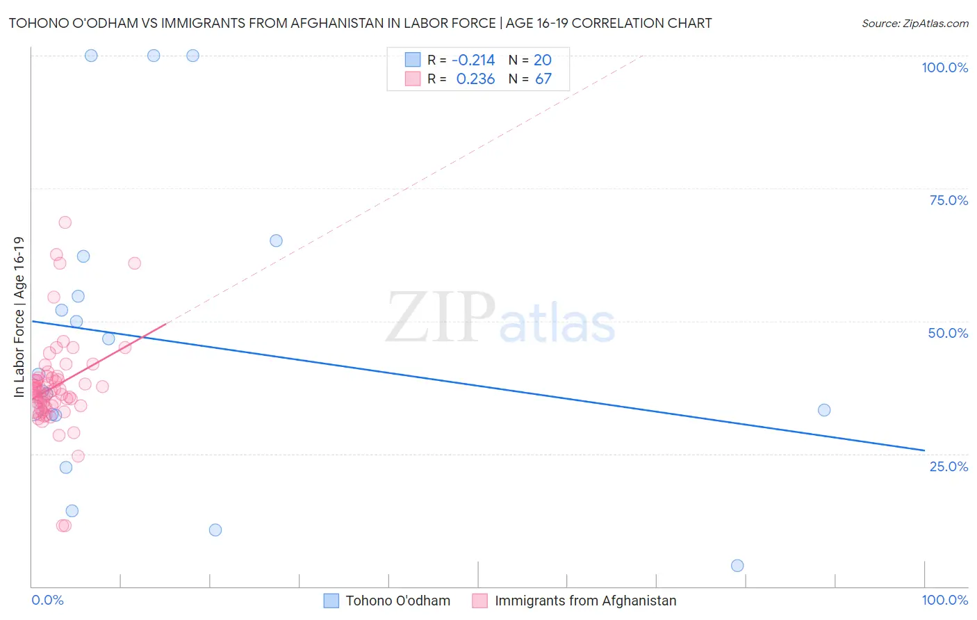 Tohono O'odham vs Immigrants from Afghanistan In Labor Force | Age 16-19