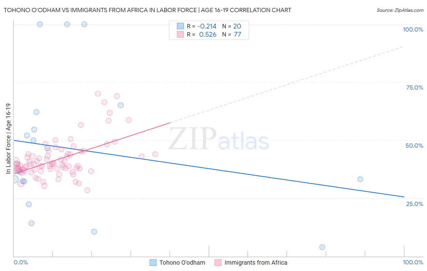 Tohono O'odham vs Immigrants from Africa In Labor Force | Age 16-19