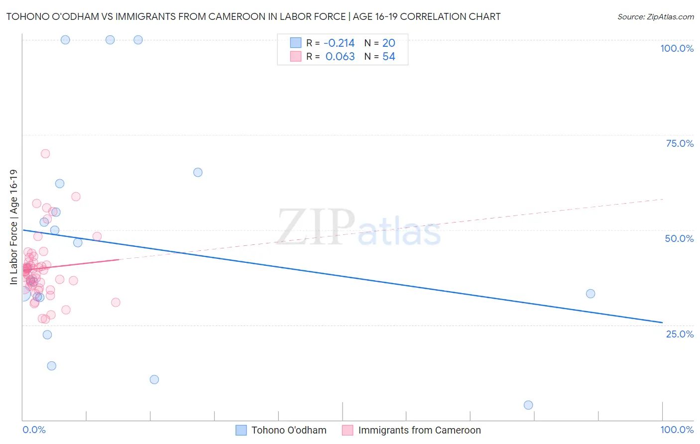 Tohono O'odham vs Immigrants from Cameroon In Labor Force | Age 16-19