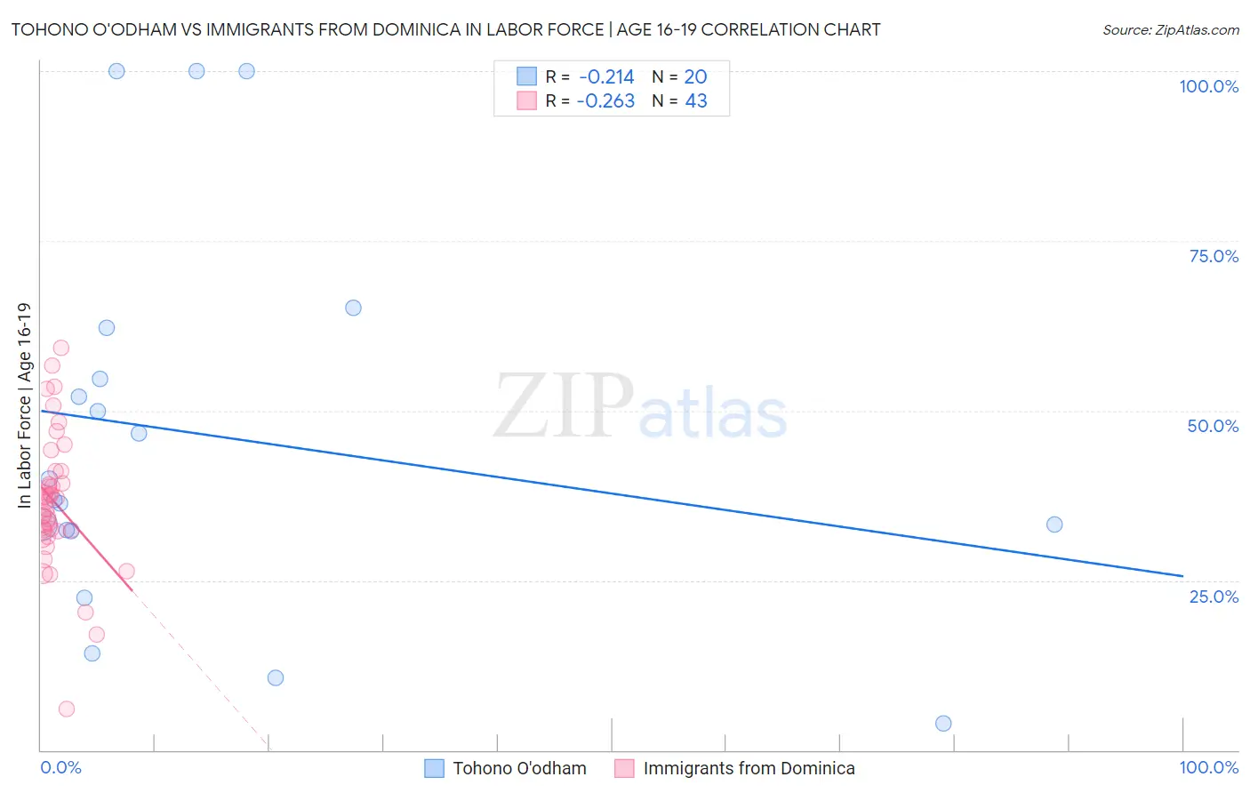 Tohono O'odham vs Immigrants from Dominica In Labor Force | Age 16-19