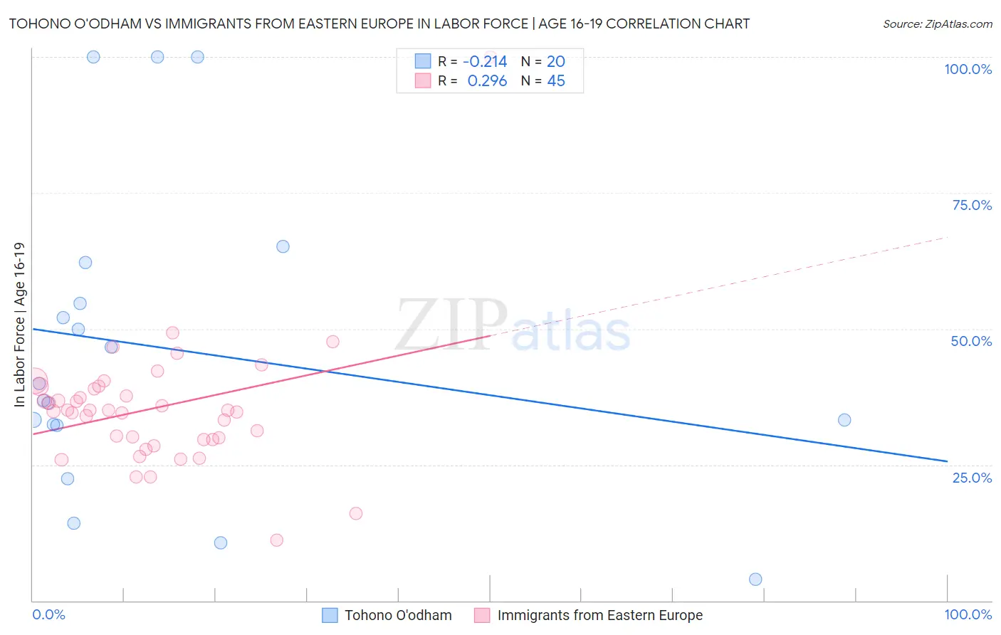 Tohono O'odham vs Immigrants from Eastern Europe In Labor Force | Age 16-19