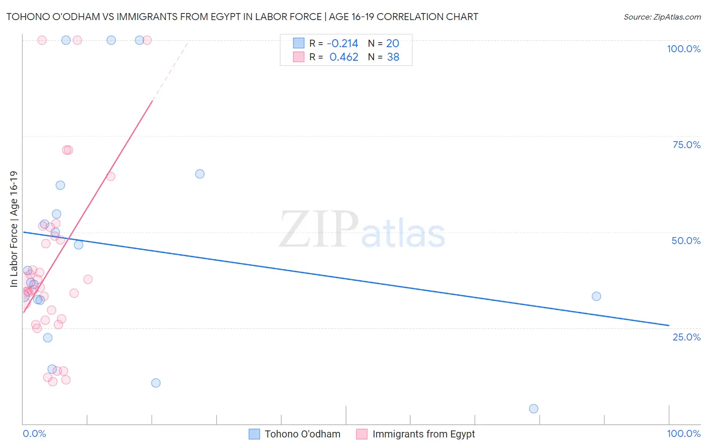 Tohono O'odham vs Immigrants from Egypt In Labor Force | Age 16-19