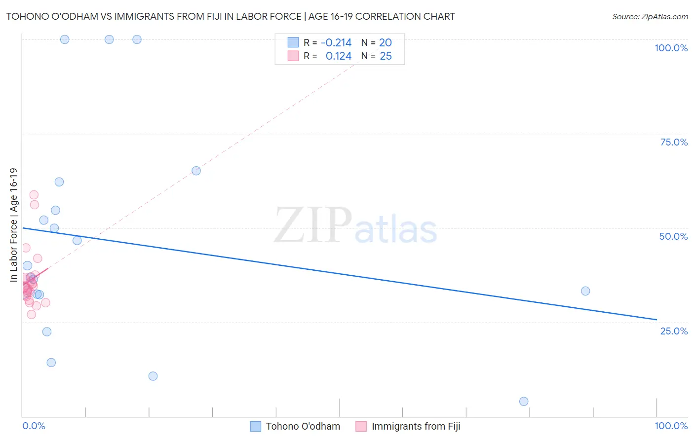 Tohono O'odham vs Immigrants from Fiji In Labor Force | Age 16-19