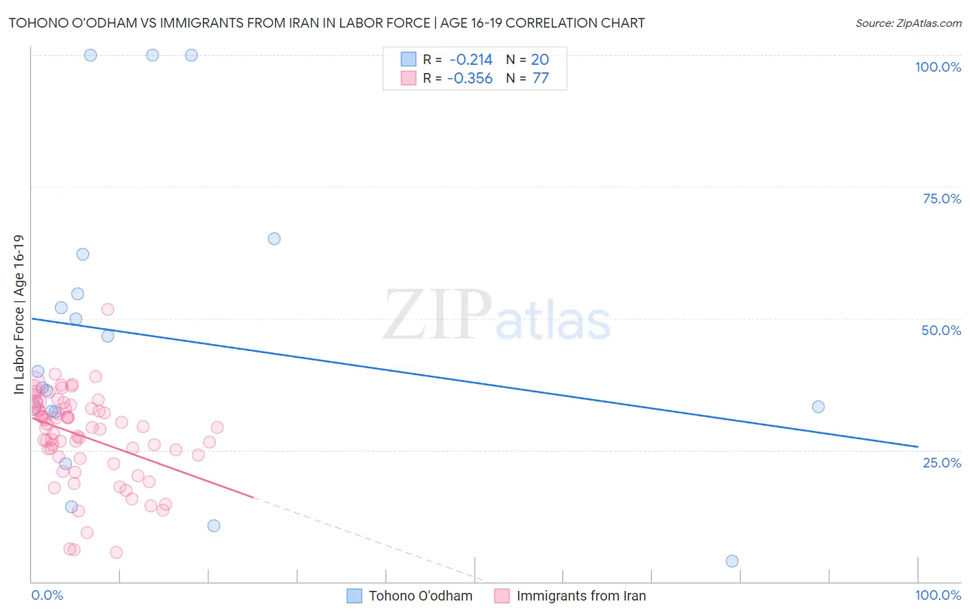 Tohono O'odham vs Immigrants from Iran In Labor Force | Age 16-19