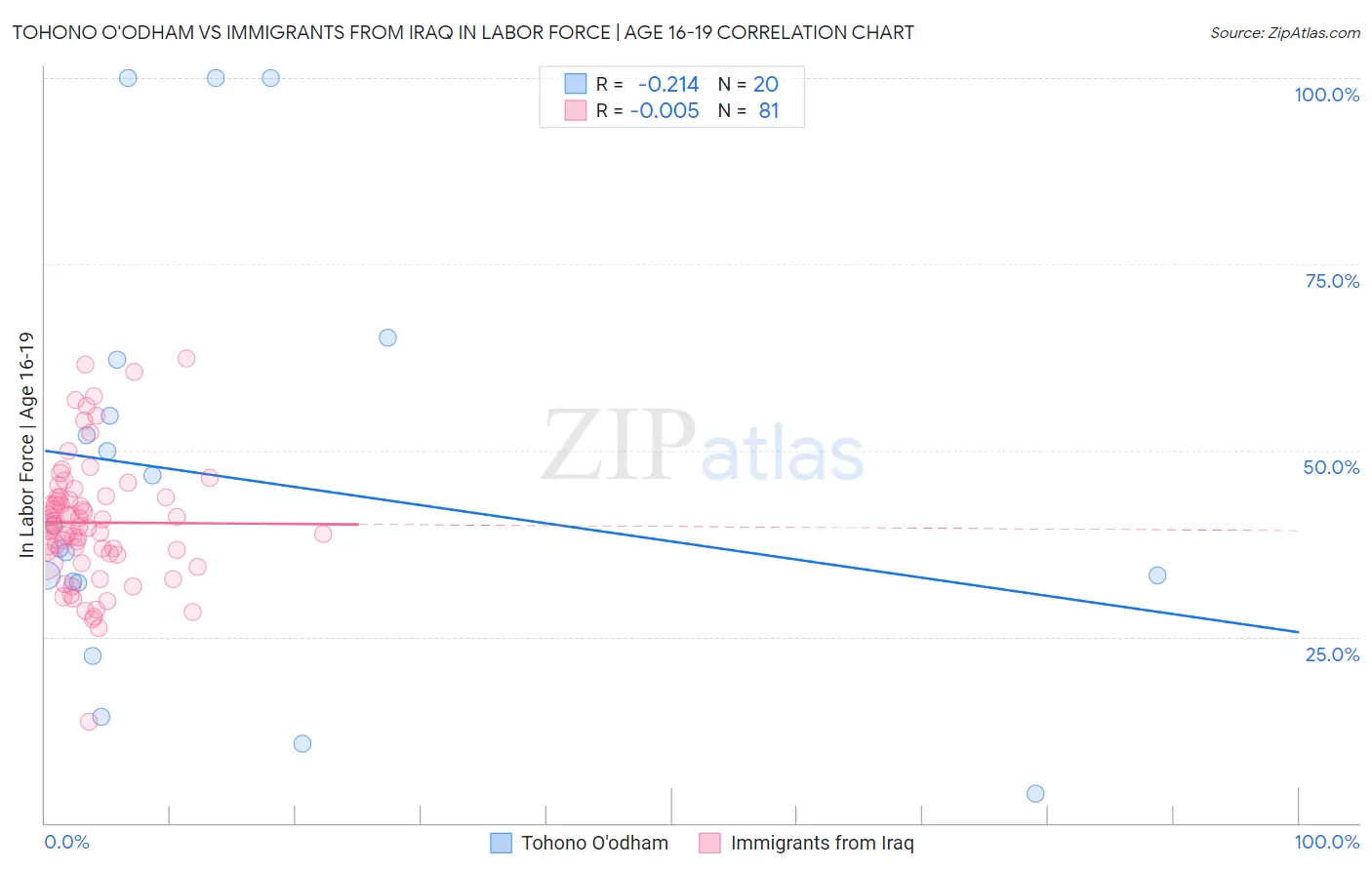 Tohono O'odham vs Immigrants from Iraq In Labor Force | Age 16-19