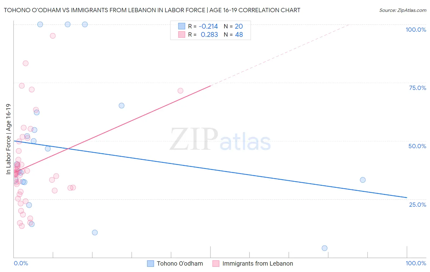 Tohono O'odham vs Immigrants from Lebanon In Labor Force | Age 16-19