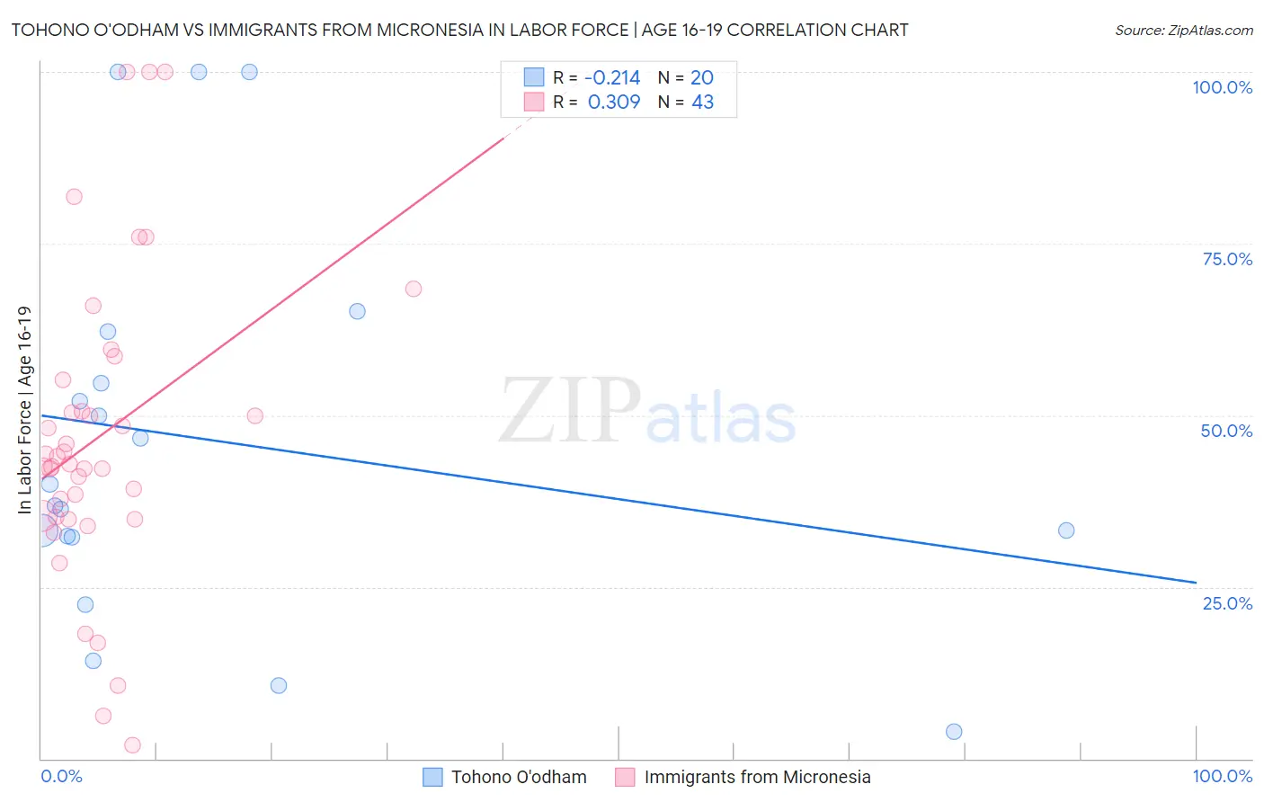 Tohono O'odham vs Immigrants from Micronesia In Labor Force | Age 16-19