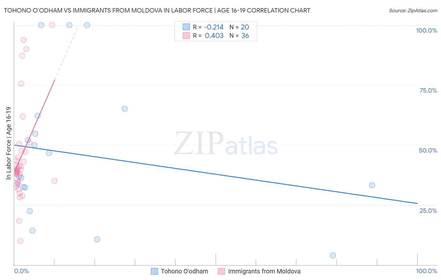 Tohono O'odham vs Immigrants from Moldova In Labor Force | Age 16-19