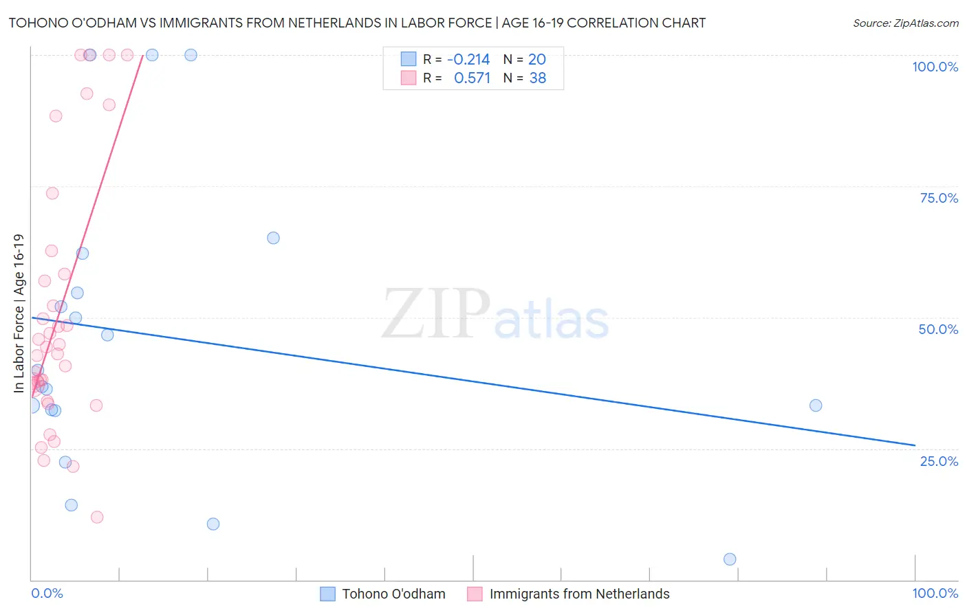 Tohono O'odham vs Immigrants from Netherlands In Labor Force | Age 16-19