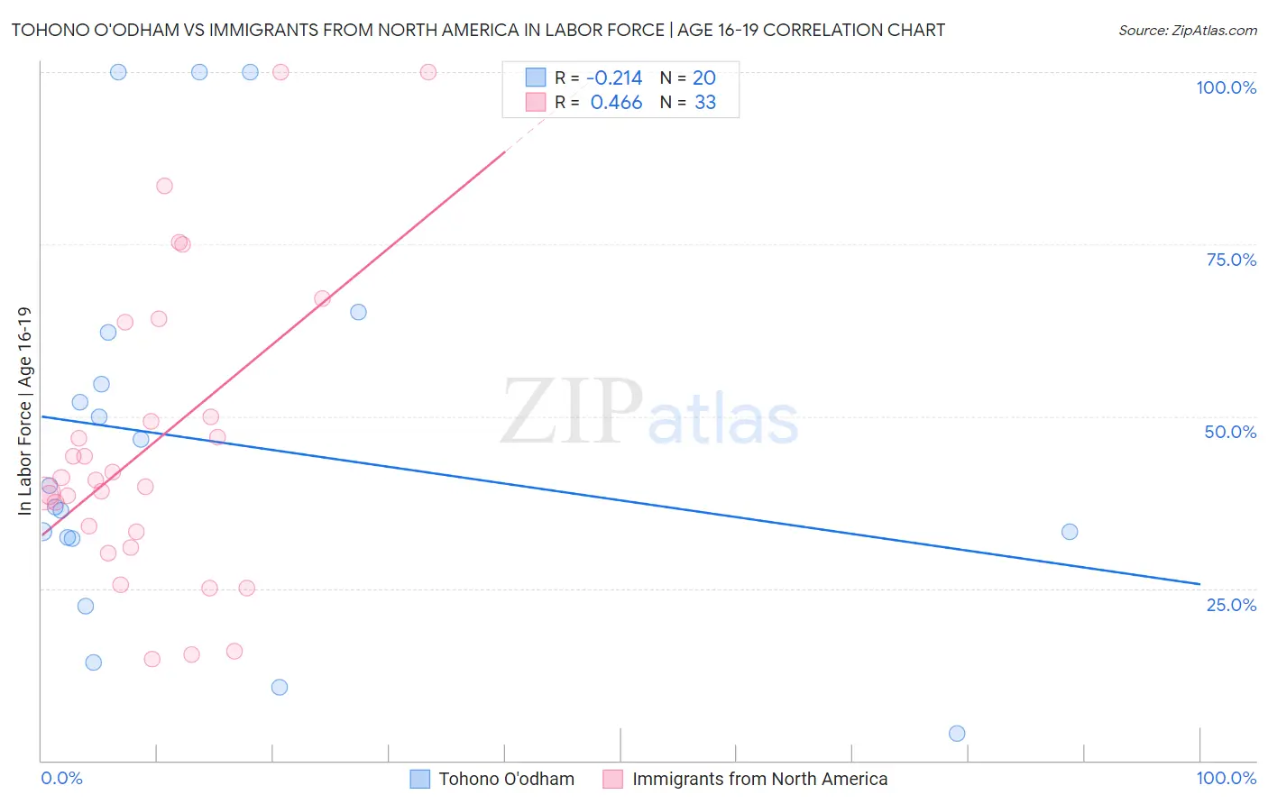 Tohono O'odham vs Immigrants from North America In Labor Force | Age 16-19