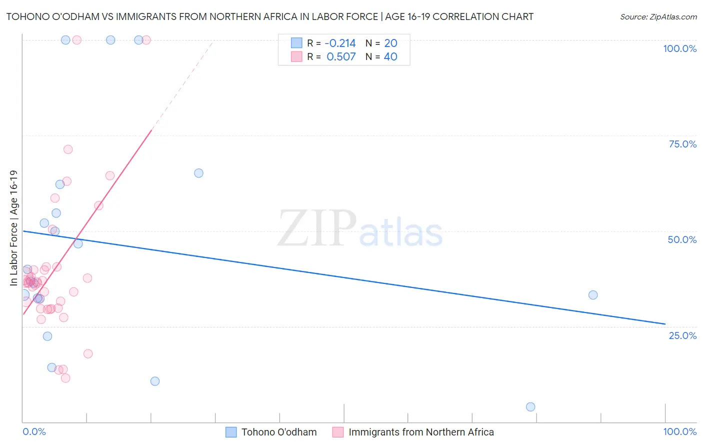 Tohono O'odham vs Immigrants from Northern Africa In Labor Force | Age 16-19