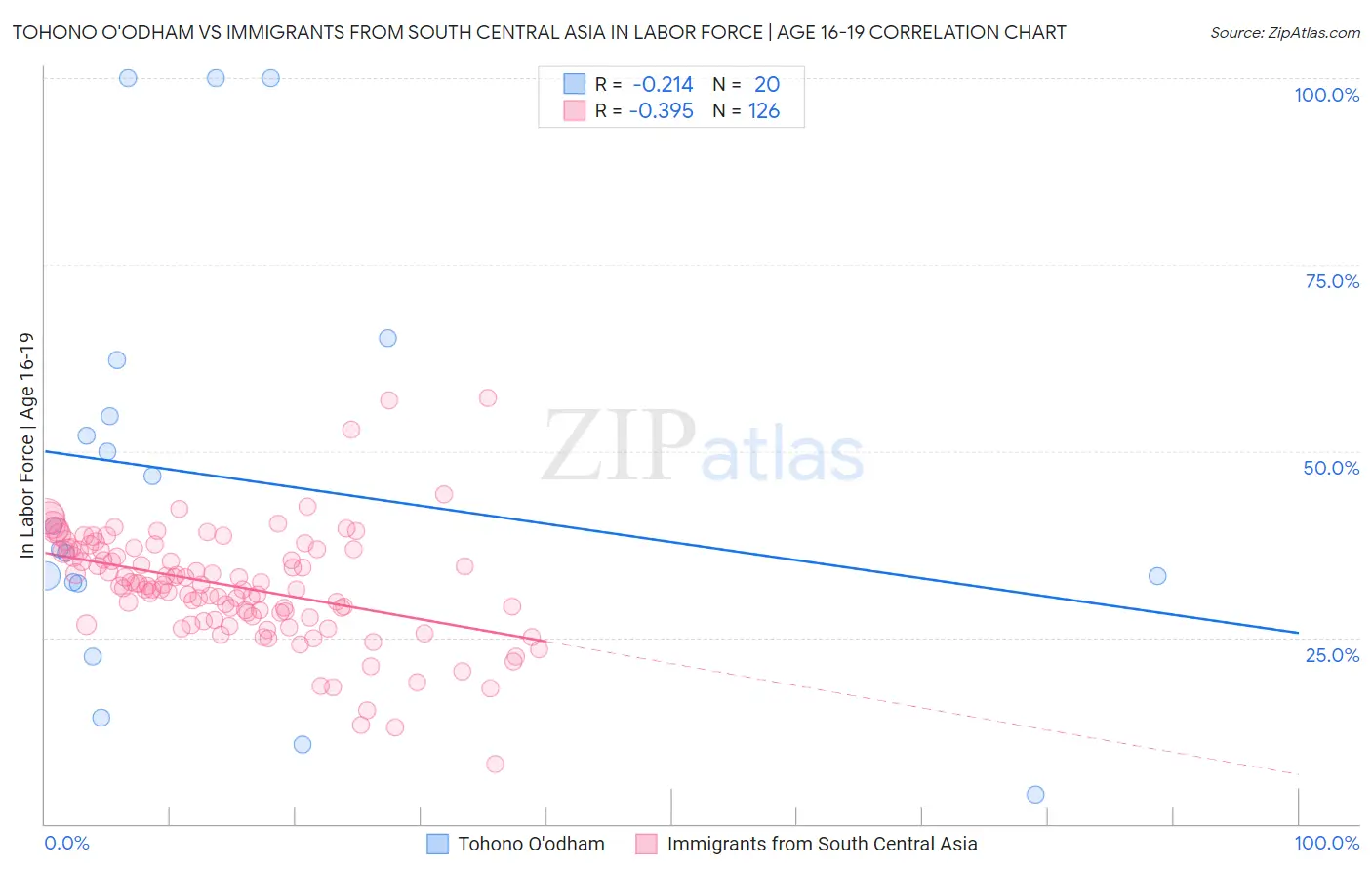 Tohono O'odham vs Immigrants from South Central Asia In Labor Force | Age 16-19