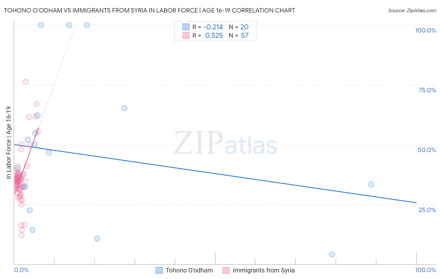 Tohono O'odham vs Immigrants from Syria In Labor Force | Age 16-19