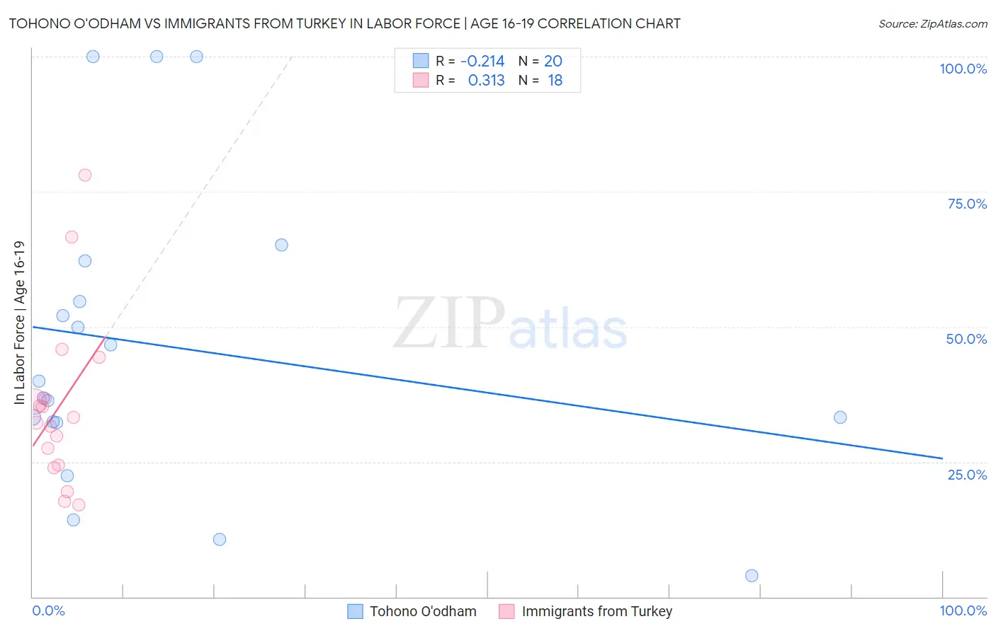 Tohono O'odham vs Immigrants from Turkey In Labor Force | Age 16-19