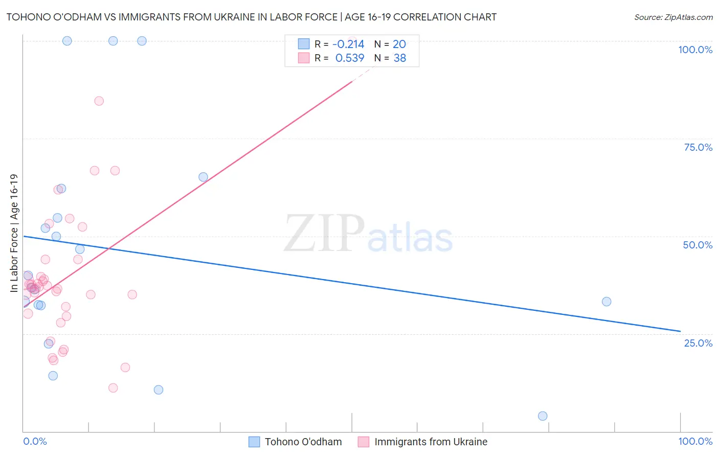 Tohono O'odham vs Immigrants from Ukraine In Labor Force | Age 16-19