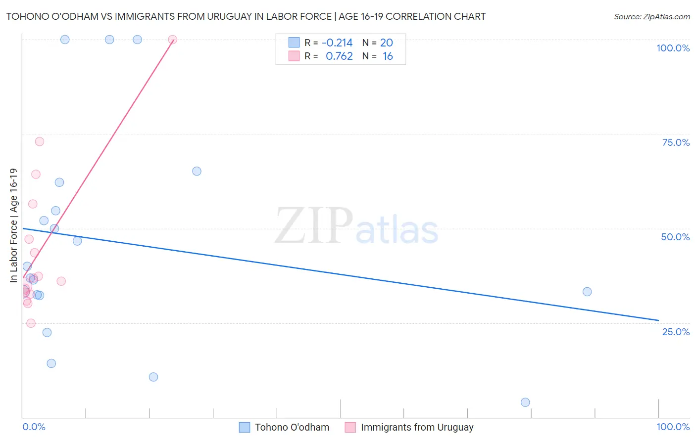 Tohono O'odham vs Immigrants from Uruguay In Labor Force | Age 16-19