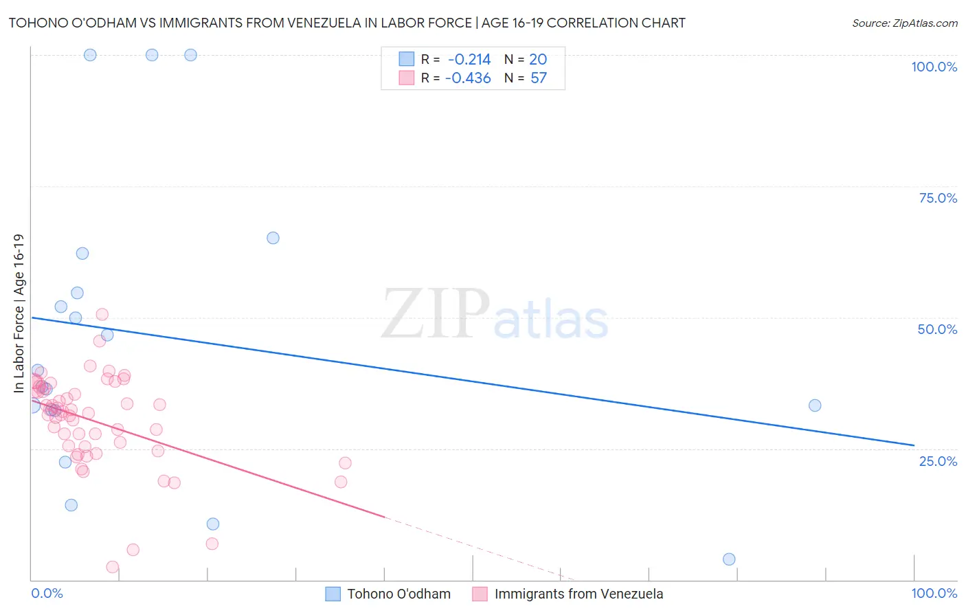 Tohono O'odham vs Immigrants from Venezuela In Labor Force | Age 16-19