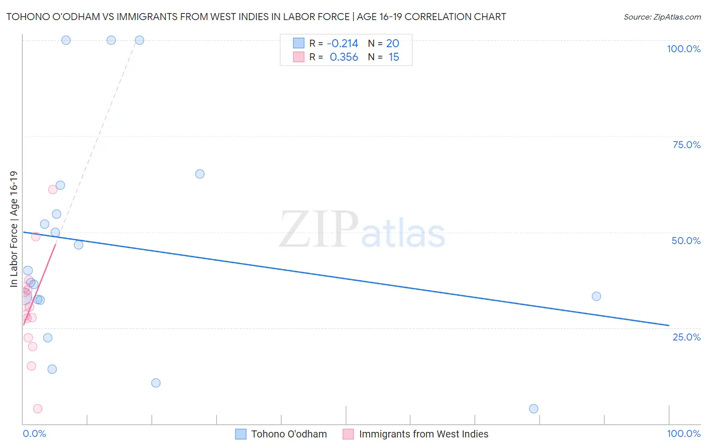 Tohono O'odham vs Immigrants from West Indies In Labor Force | Age 16-19