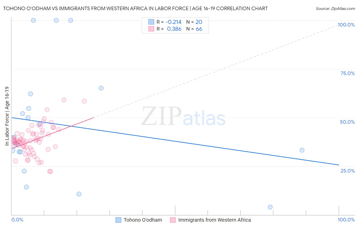 Tohono O'odham vs Immigrants from Western Africa In Labor Force | Age 16-19