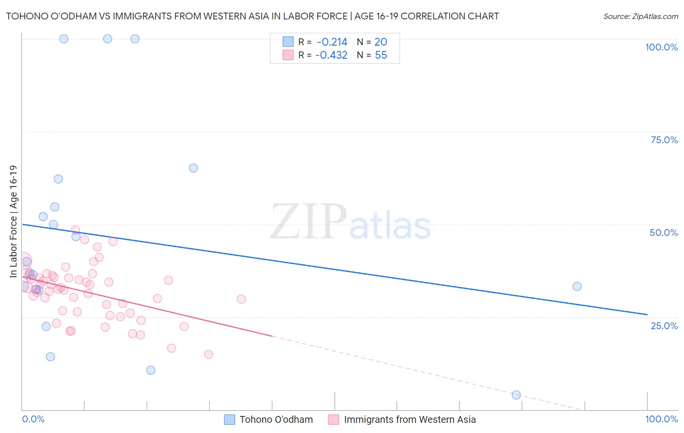 Tohono O'odham vs Immigrants from Western Asia In Labor Force | Age 16-19