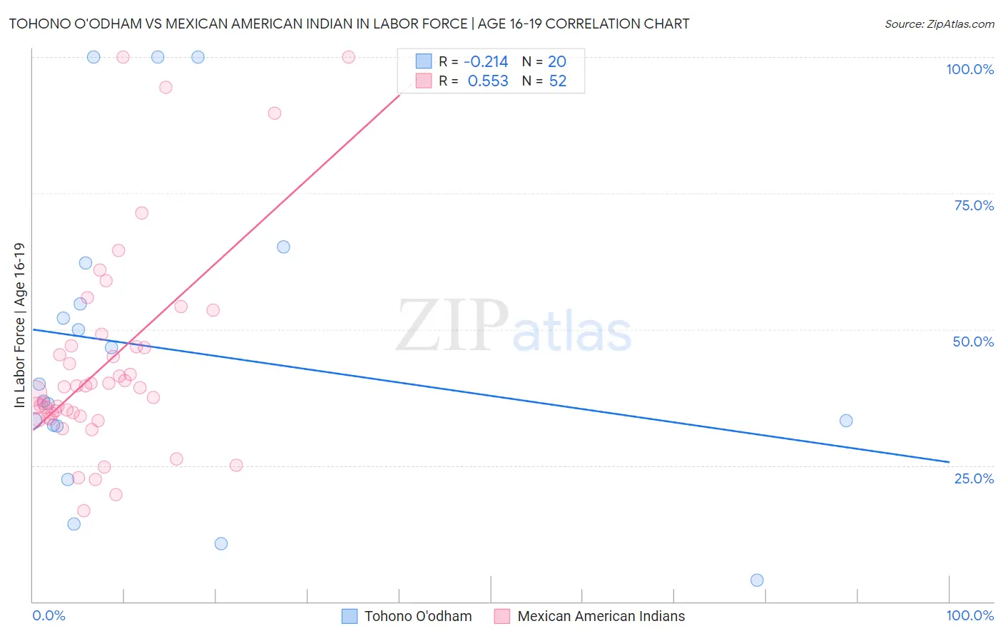 Tohono O'odham vs Mexican American Indian In Labor Force | Age 16-19