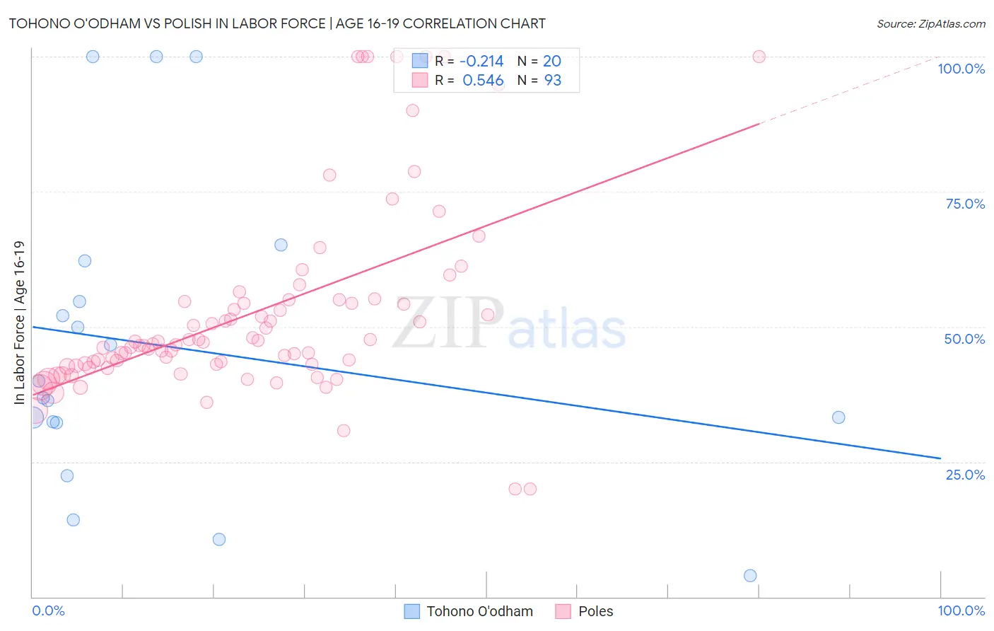 Tohono O'odham vs Polish In Labor Force | Age 16-19