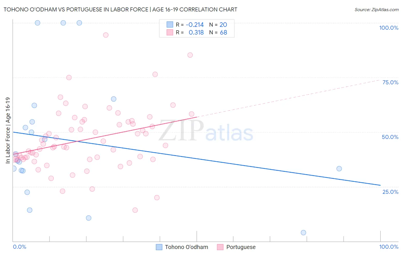Tohono O'odham vs Portuguese In Labor Force | Age 16-19