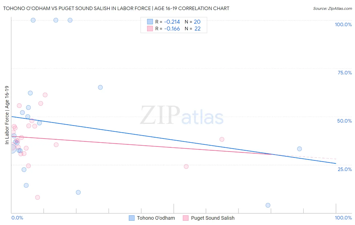 Tohono O'odham vs Puget Sound Salish In Labor Force | Age 16-19