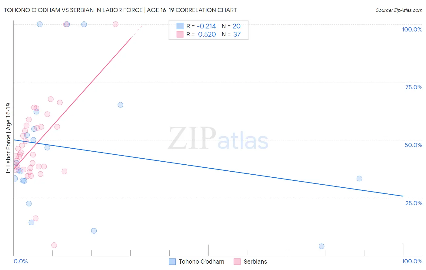 Tohono O'odham vs Serbian In Labor Force | Age 16-19
