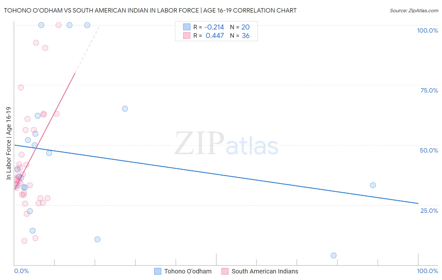 Tohono O'odham vs South American Indian In Labor Force | Age 16-19