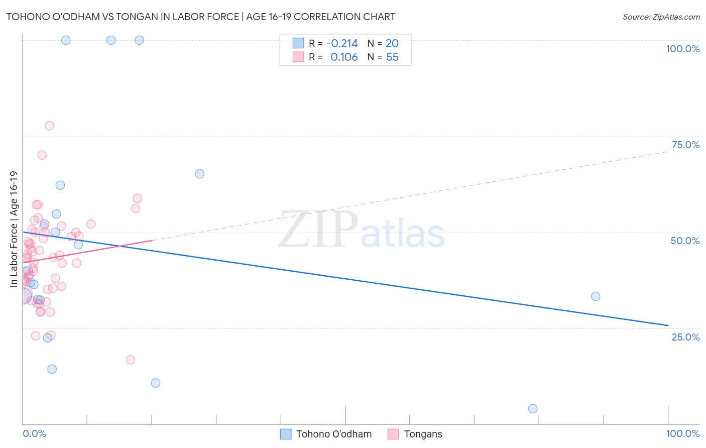 Tohono O'odham vs Tongan In Labor Force | Age 16-19