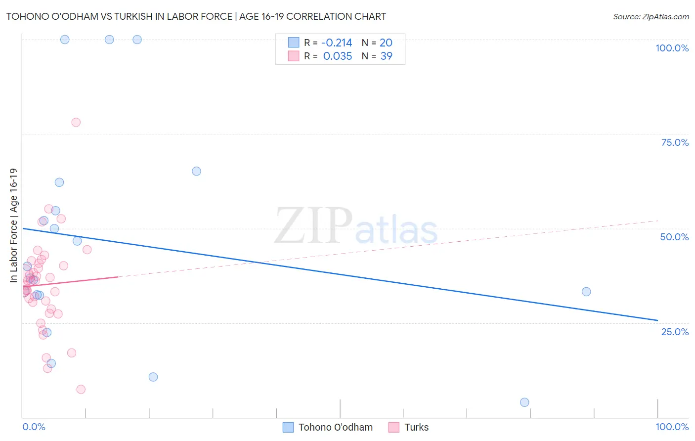 Tohono O'odham vs Turkish In Labor Force | Age 16-19