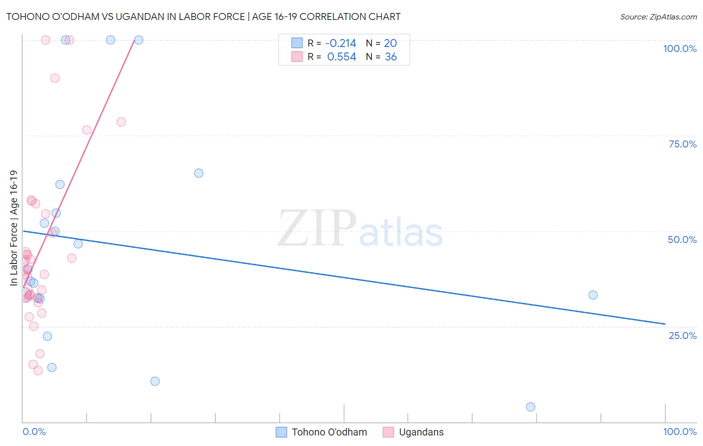 Tohono O'odham vs Ugandan In Labor Force | Age 16-19