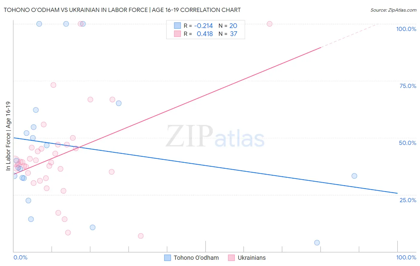 Tohono O'odham vs Ukrainian In Labor Force | Age 16-19