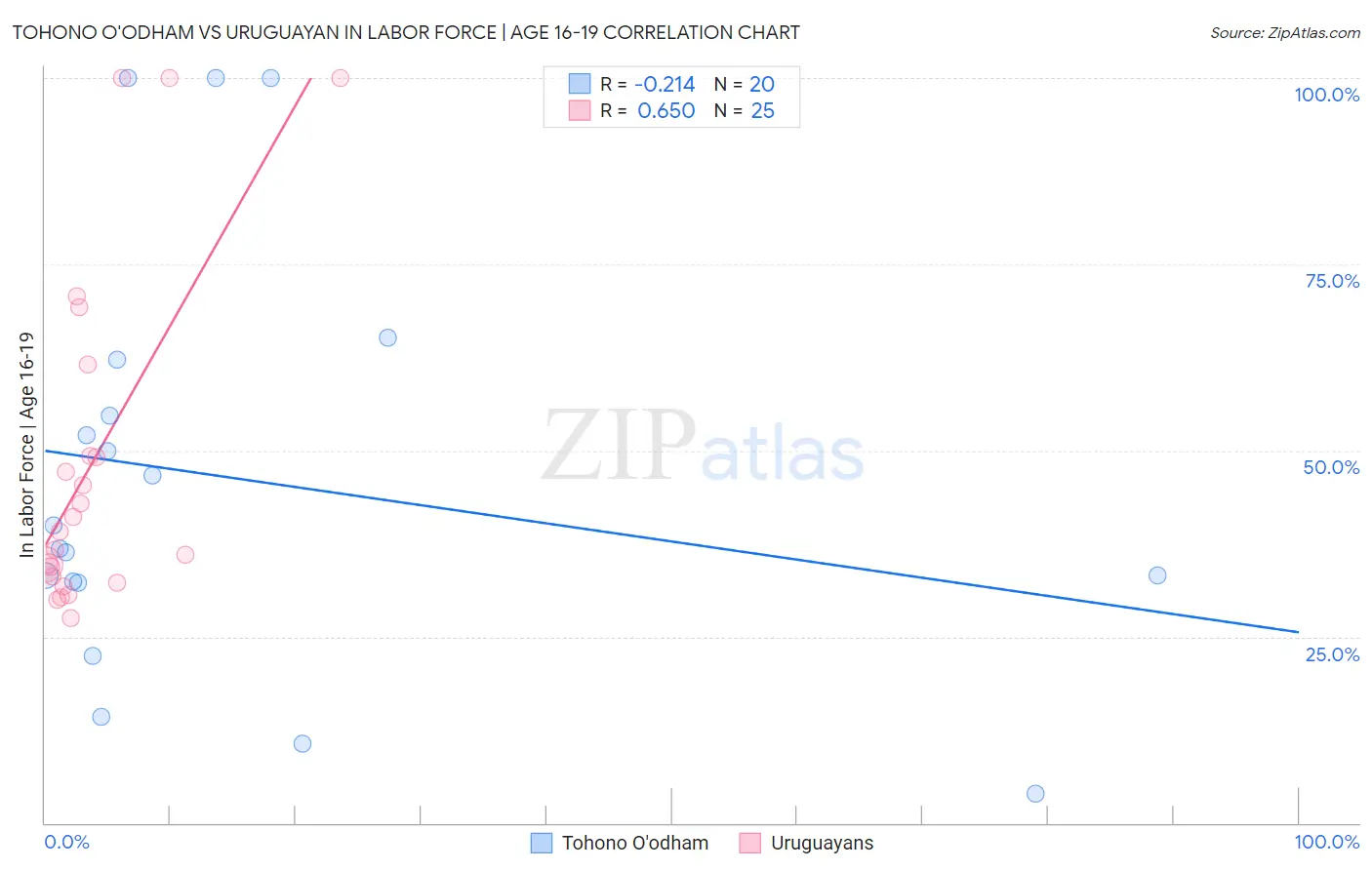 Tohono O'odham vs Uruguayan In Labor Force | Age 16-19