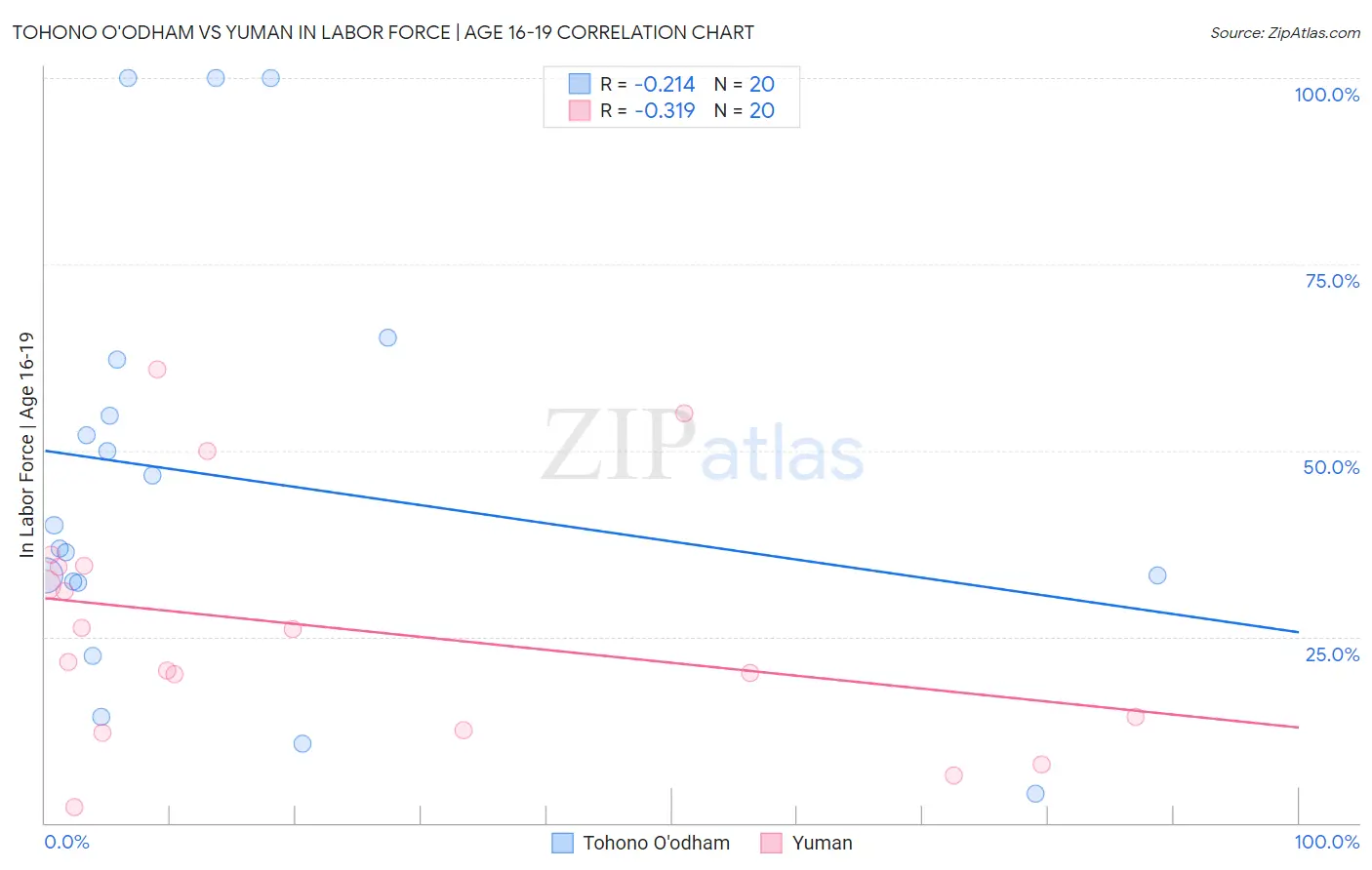 Tohono O'odham vs Yuman In Labor Force | Age 16-19