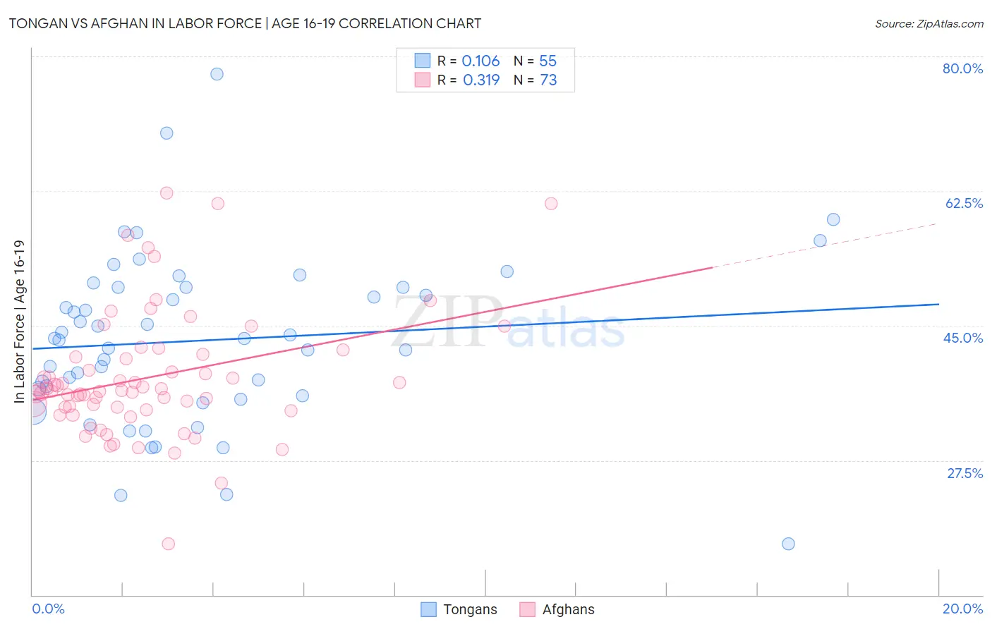 Tongan vs Afghan In Labor Force | Age 16-19