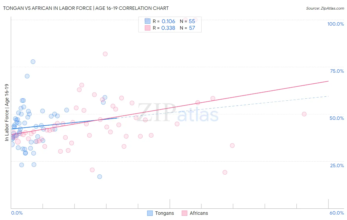 Tongan vs African In Labor Force | Age 16-19