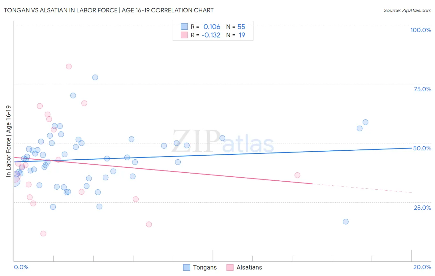 Tongan vs Alsatian In Labor Force | Age 16-19