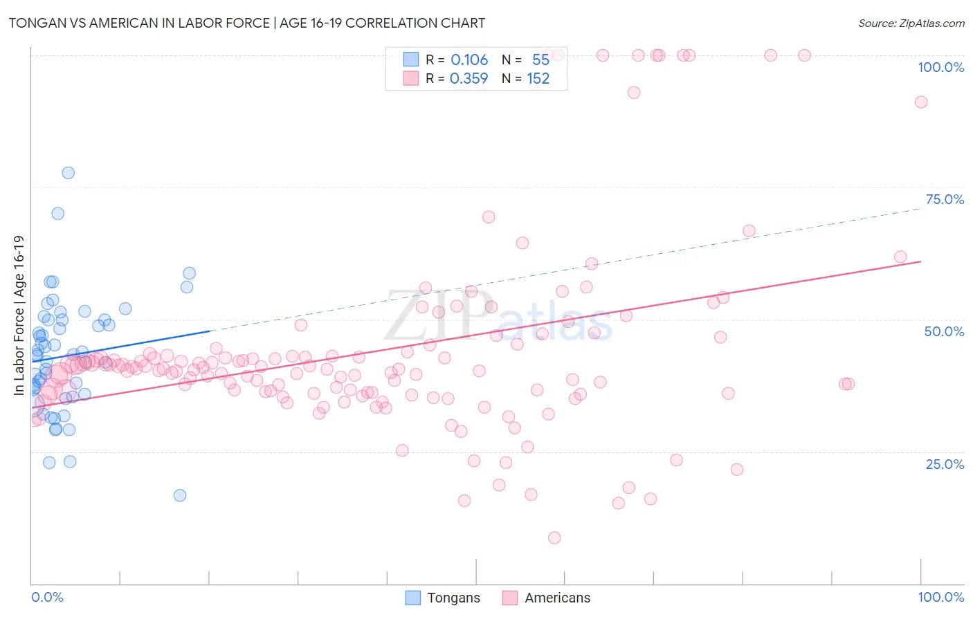 Tongan vs American In Labor Force | Age 16-19