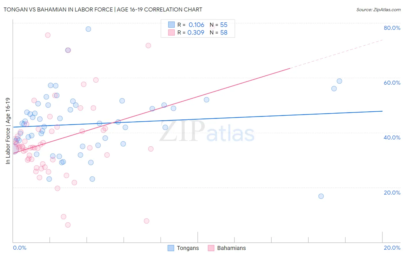 Tongan vs Bahamian In Labor Force | Age 16-19