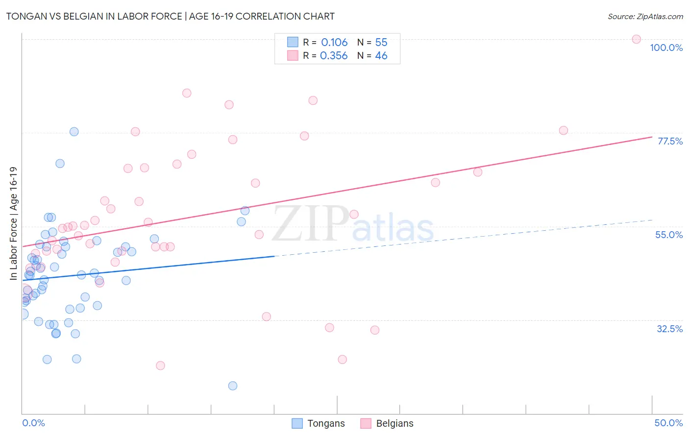 Tongan vs Belgian In Labor Force | Age 16-19