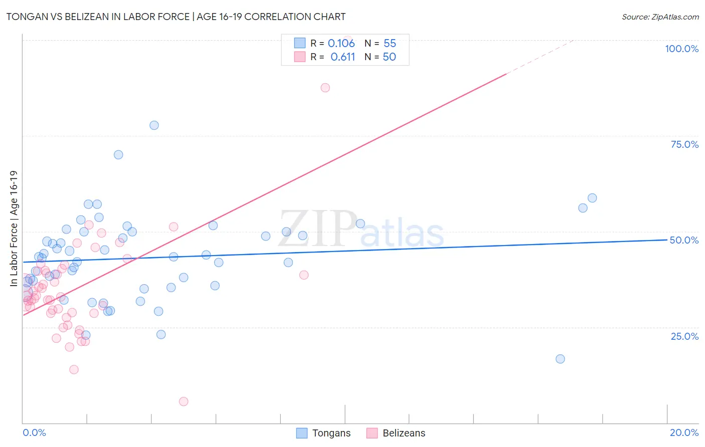 Tongan vs Belizean In Labor Force | Age 16-19