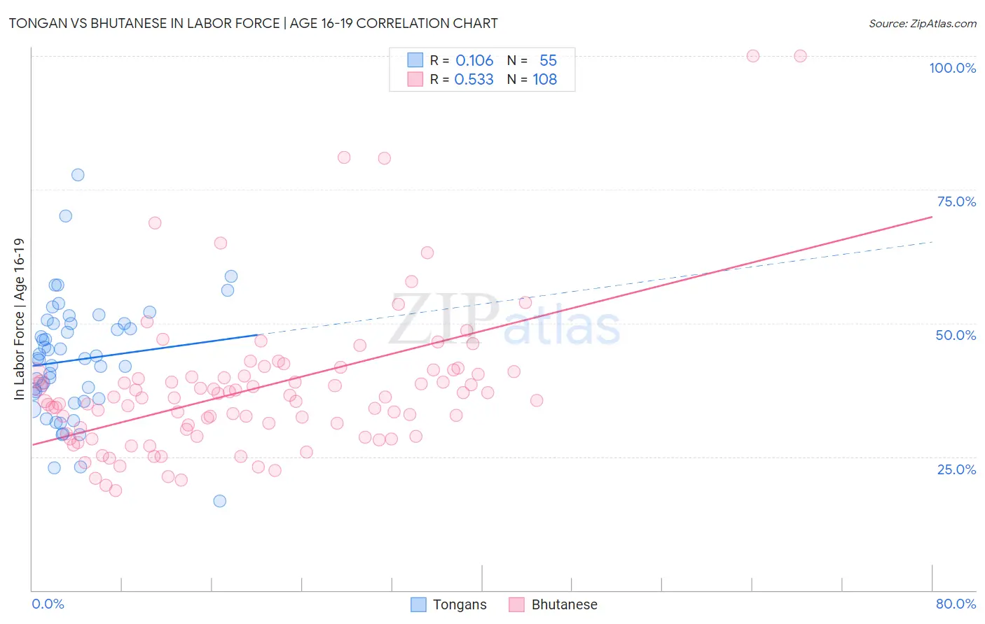 Tongan vs Bhutanese In Labor Force | Age 16-19