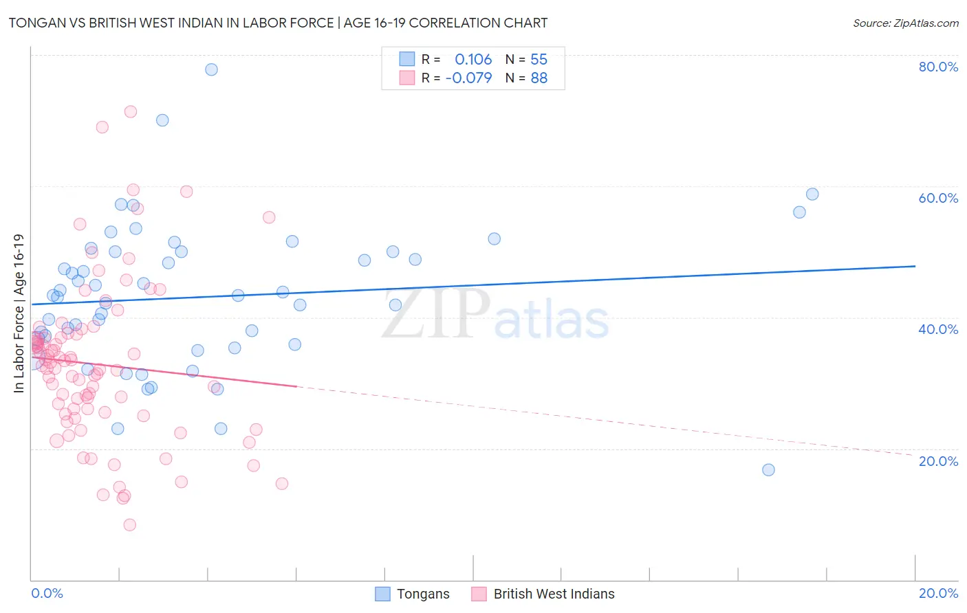Tongan vs British West Indian In Labor Force | Age 16-19