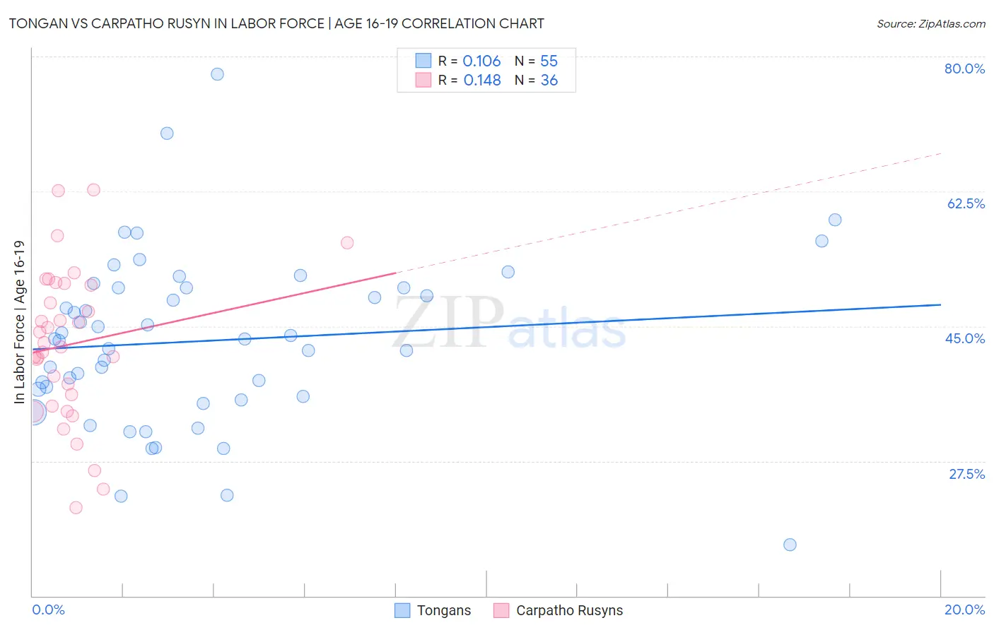 Tongan vs Carpatho Rusyn In Labor Force | Age 16-19